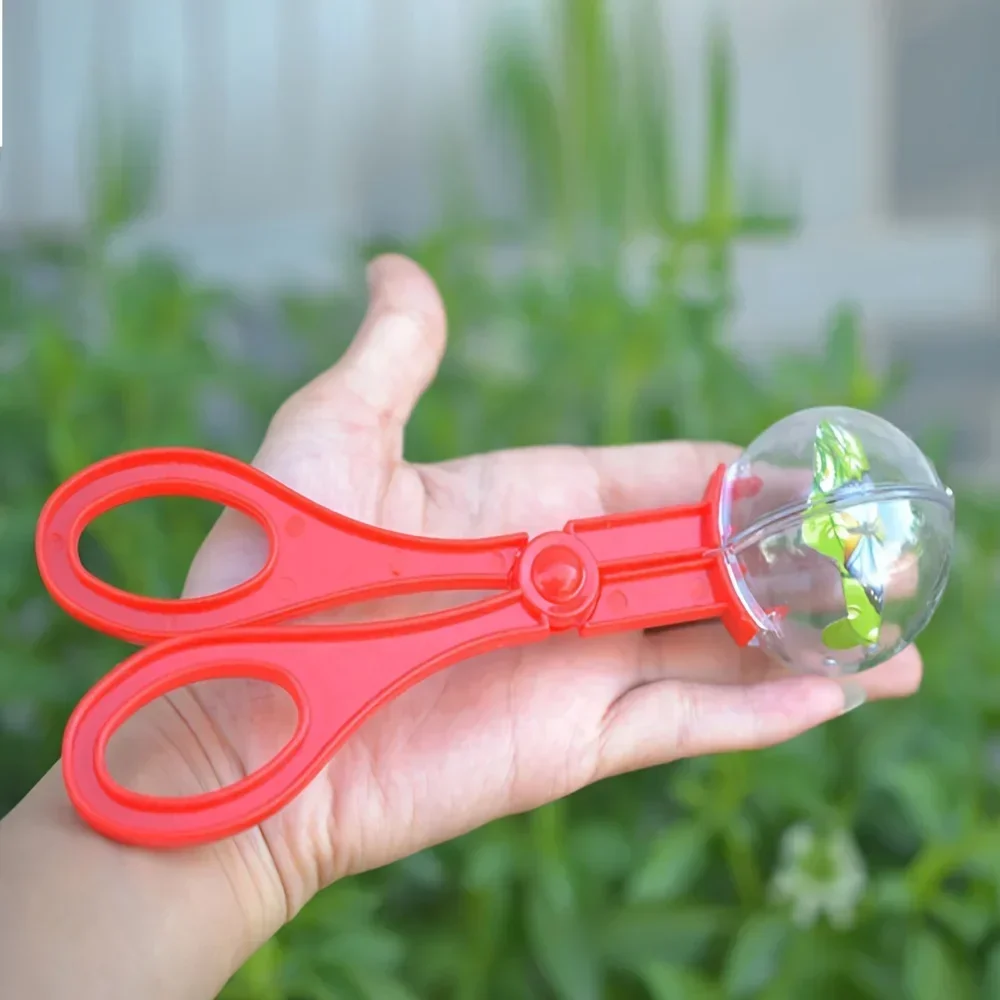 Bunte Große Perlen-Insektenfan – Outdoor Adventure With Kids Bewertung und Preis